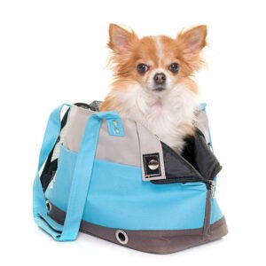 Soft-Sided Dog Travel Carrier Bag with Ventilation & Comfort Padding
