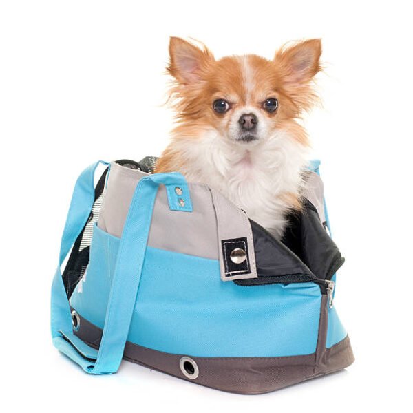 Soft-Sided Dog Travel Carrier Bag with Ventilation & Comfort Padding