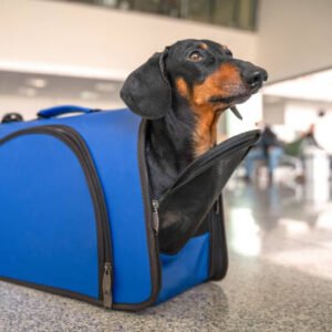 Durable Dog Travel Duffel Bag with Padded Interior