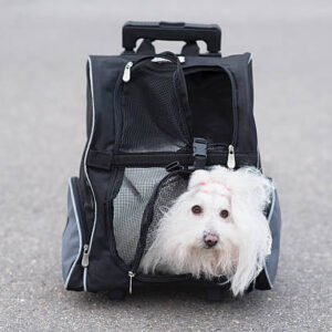 Stylish Leather-Look Pet Carrier with Shoulder Strap