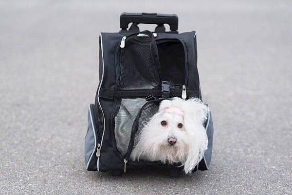 Stylish Leather-Look Pet Carrier with Shoulder Strap