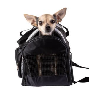Double Compartment Pet Carrier – Carry Two Pets in Comfort