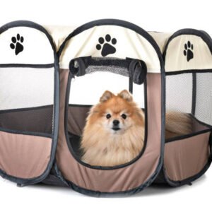 Airline-Approved Pet Carrier with Rolling Wheels & Telescopic Handle