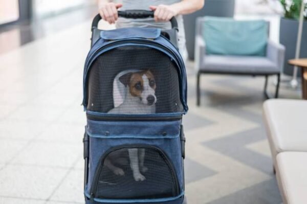 Wheel Pet Travel Stroller – Smooth Ride & Foldable Design