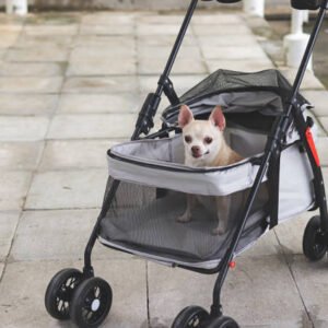 Airline-Approved Pet Carrier with Rolling Wheels