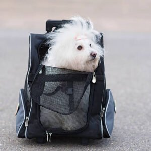 Multi-Functional Dog Travel Carrier with Side Mesh & Padded Base