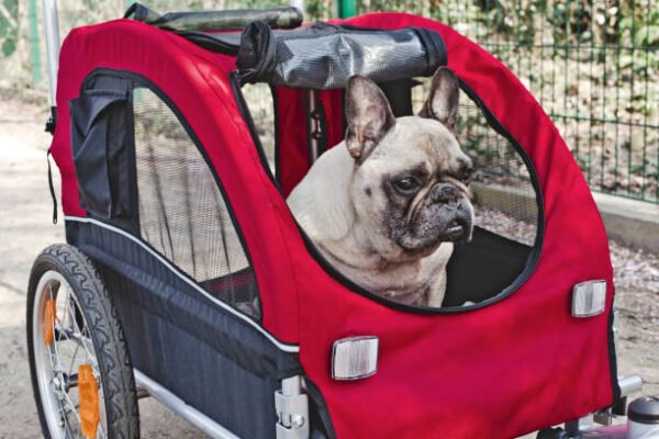 Luxury Dog Travel Stroller with Spacious Cabin & Safety Lock
