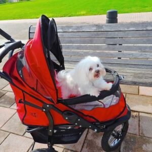 Premium Outdoor Pet Travel Stroller – Comfortable & Foldable Design