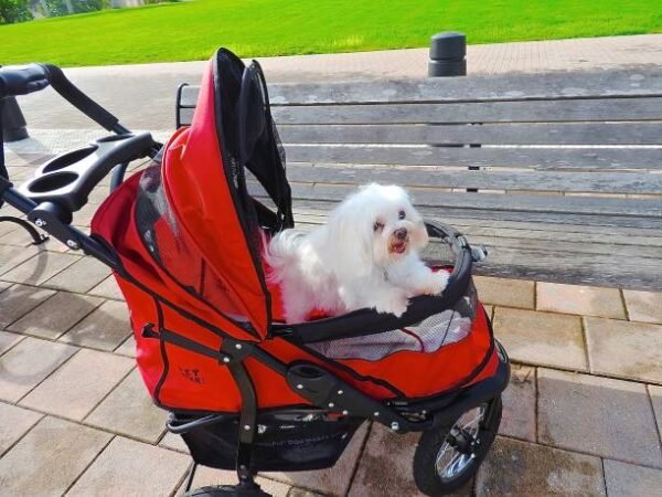 Premium Outdoor Pet Travel Stroller – Comfortable & Foldable Design