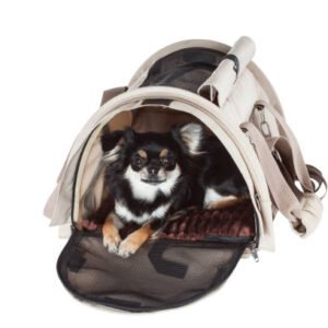 Luxury Transparent Dome Pet Carrier – Modern Space Capsule Design
