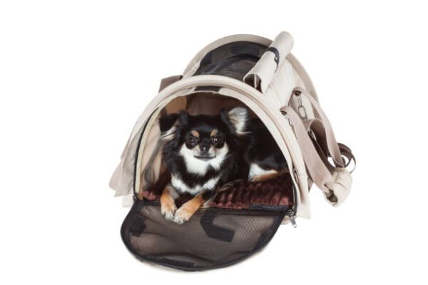 Luxury Transparent Dome Pet Carrier – Modern Space Capsule Design
