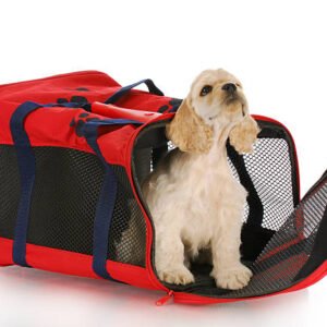 Soft-Sided Pet Carrier Bag with Safety Straps & Storage Pockets