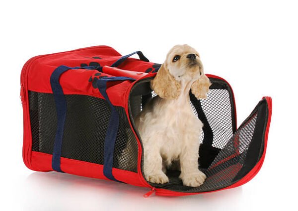 Soft-Sided Pet Carrier Bag with Safety Straps & Storage Pockets