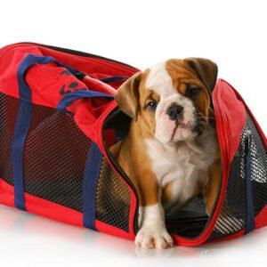 Sporty Pet Carrier Bag with Mesh Sides & Shoulder Strap