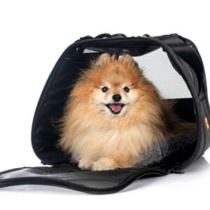 Cozy Soft-Shell Pet Carrier with Plush Interior