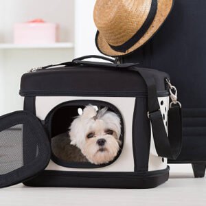 Soft-Sided Pet Carrier with Expandable Side for Extra Space